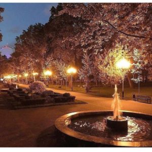 E8C52F52-5777-4B81-9EAD-F9A02B0F2D9E